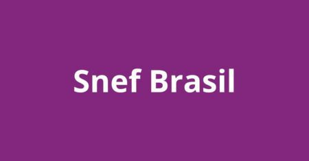 Snef Brasil Vagas: Guia Completo para se Candidatar e Trabalhar na Multinacional