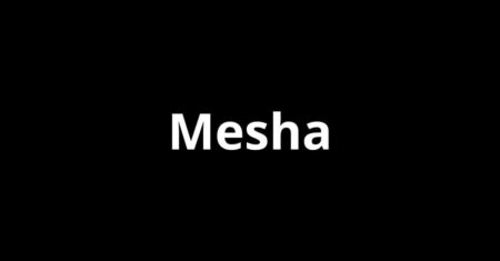 Mesha: o ponto de encaixe que muda a conversa
