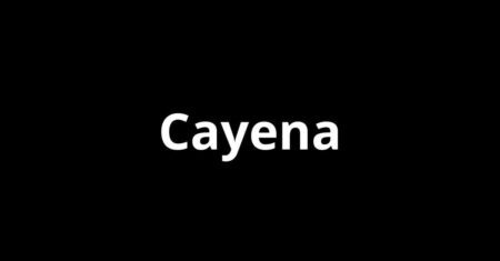 Cayena: o guia completo para dominar a seleção no marketplace que transforma o foodservice
