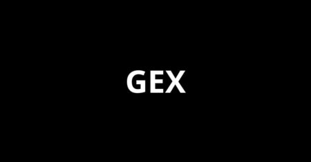GEX: o guia completo para dominar a seleção e acelerar sua carreira